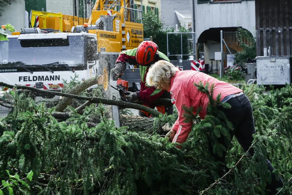 Zwei Personen arbeiten an Geäst auf dem Boden.
